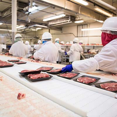 Medicals in the Abattoir Industry